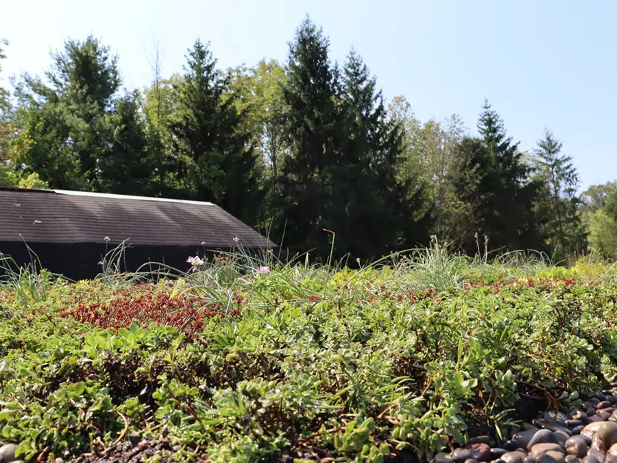 Green roof