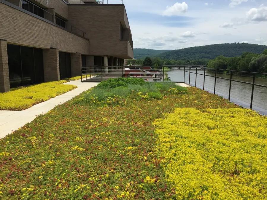 Green roof