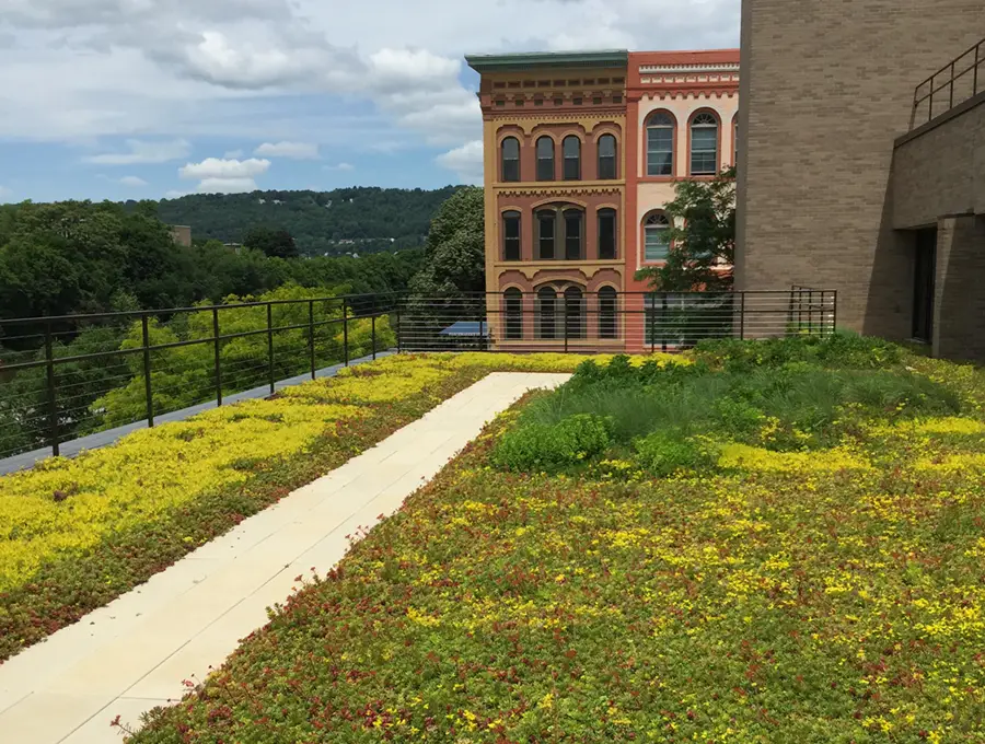 Green Roofs
